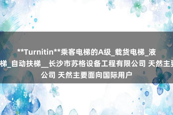 **Turnitin**乘客电梯的A级_载货电梯_液压电梯_杂物电梯_自动扶梯__长沙市苏格设备工程有限公司 天然主要面向国际用户